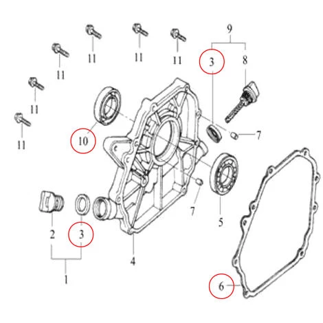 STRONG Ersatzteil Für Benzinmotor 6,5 PS Dichtungssatz Mit Kolbenring 5 STRONG Ersatzteil Für Benzinmotor 6,5 PS Dichtungssatz Mit Kolbenring – Bild 3