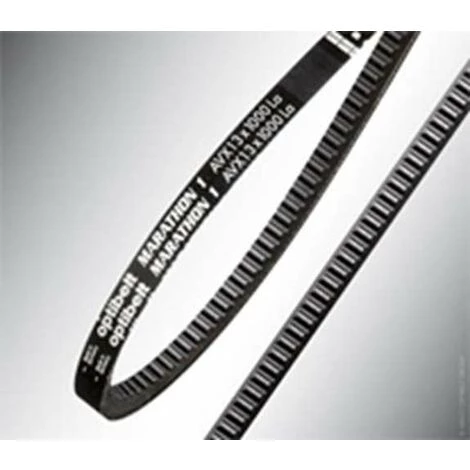 Optibelt MARATHON X AVX 13 X 750 Keilriemen - Flankenoffen, Verzahnt 3 Optibelt MARATHON X AVX 13 X 750 Keilriemen - Flankenoffen, Verzahnt