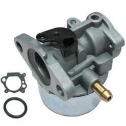 HAPPYSHOPPING Vergaser Mit Dichtung Passend Für BRIGGS & STRATTON 799868 498254 497347 497314 498170 694202 Motor Ersatz Motor Generator Mäher,Silber -Motoren für Gartenwerkzeug Verkäufe 36575798 4