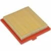 Vhbw Ersatzfilter (1x Luftfilter) Ersatz Für GGP 1111-9169-01, 118550147/0 Für Rasenmäher, 12,2 X 10,8 X 2 Cm, Gelb, Orange 2 Vhbw Ersatzfilter (1x Luftfilter) Ersatz Für GGP 1111-9169-01, 118550147/0 Für Rasenmäher, 12,2 X 10,8 X 2 Cm, Gelb, Orange -Motoren für Gartenwerkzeug Verkäufe 41820969 1