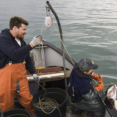 LITZEE 3 STÜCKE Edelstahl-Doppelriemenscheibe, Schwenk-Doppelriemenscheibe, Heberiemenscheibe, Laderolle, Edelstahlriemenscheibe, Einzelblockriemenscheibe, Edelstahl-Einzelriemenscheibe, Heberiemenscheibe M15 7 LITZEE 3 STÜCKE Edelstahl-Doppelriemenscheibe, Schwenk-Doppelriemenscheibe, Heberiemenscheibe, Laderolle, Edelstahlriemenscheibe, Einzelblockriemenscheibe, Edelstahl-Einzelriemenscheibe, Heberiemenscheibe M15 – Bild 5
