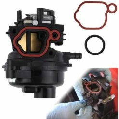 DONTODENT Briggs&Stratton 799583 593261 595656 591979 590556 Gartenvergaser 8 DONTODENT Briggs&Stratton 799583 593261 595656 591979 590556 Gartenvergaser -Motoren für Gartenwerkzeug Verkäufe 60287405 2