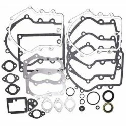 THSINDE Vergaserdichtungssatz Mit Dichtungen Ersetzt Briggs & Stratton Nr. 394501 491856 & -Motoren für Gartenwerkzeug Verkäufe 62878040 4
