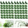 THSINDE Set Mit 70 Wandclips Für Kletterpflanzen – Für Garten, Zuhause, Büro -Motoren für Gartenwerkzeug Verkäufe 62894703 1