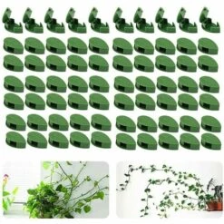THSINDE Set Mit 70 Wandclips Für Kletterpflanzen – Für Garten, Zuhause, Büro