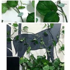 THSINDE Set Mit 70 Wandclips Für Kletterpflanzen – Für Garten, Zuhause, Büro -Motoren für Gartenwerkzeug Verkäufe 62894703 5
