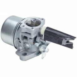 ECHOO Vergaser-Ersatzkit Kompatibel Mit Briggs & Stratton Rasenmähern 696065 -Motoren für Gartenwerkzeug Verkäufe 67695994 4