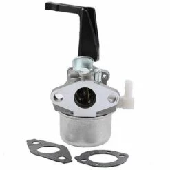 ECHOO Vergaser Mit Montagedichtung Für Briggs & Stratton 696065