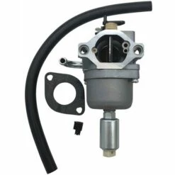 ECHOO Neuer Vergaser 796109 591731 594593